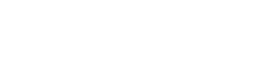 Whitespace Business Advisors Pvt Ltd — Leadership Consulting Firm, India